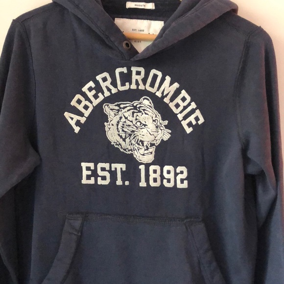 Abercrombie Kids Gray Blue Tiger Graphic Hoodie - Picture 3 of 6